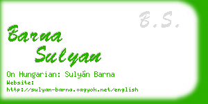 barna sulyan business card